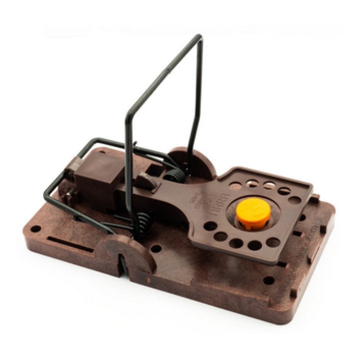 gorilla trap lure mango