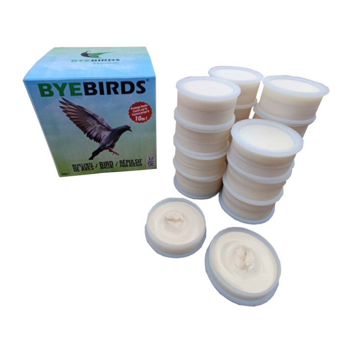 Boîte ByeBirds