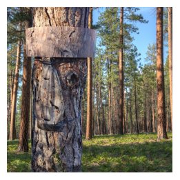 PineProtect Ecopiège cerclage pour pin