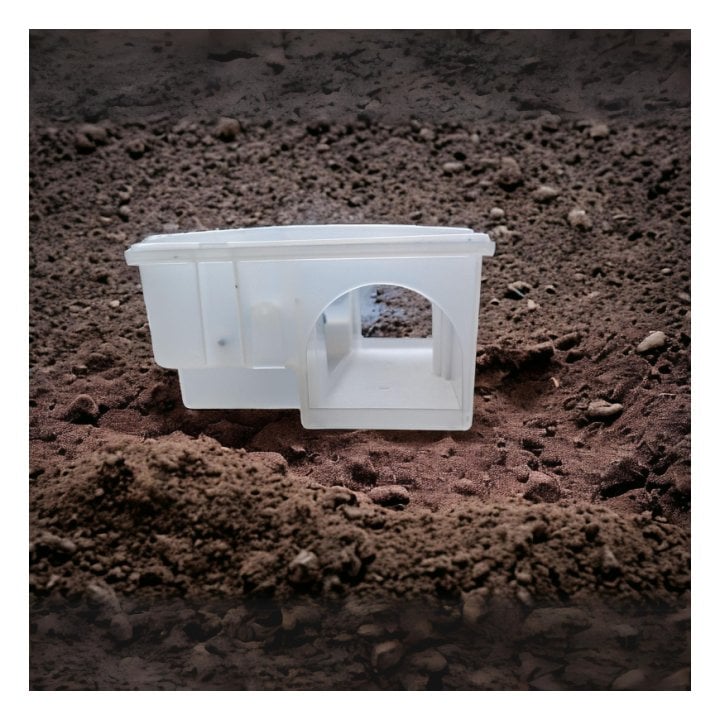 Poste mesa transparent appatage rat