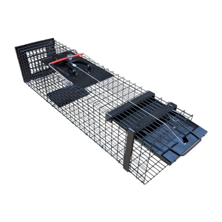 Piege cage à fouine rat belettes martres