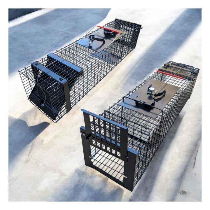 Cage à fouine
