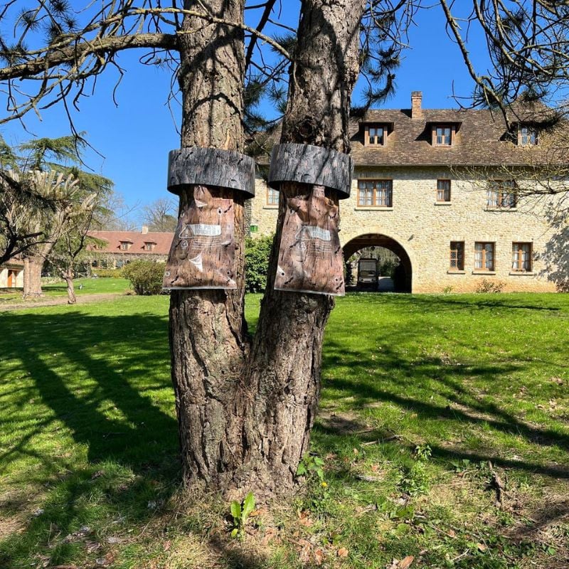Deux pièges PineProtect posés en situation