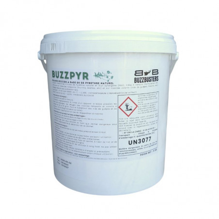 Byzzpyr poudre pyrèthre destruction nid guêpes frelons