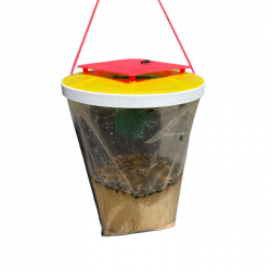 Piege a mouche fly trap