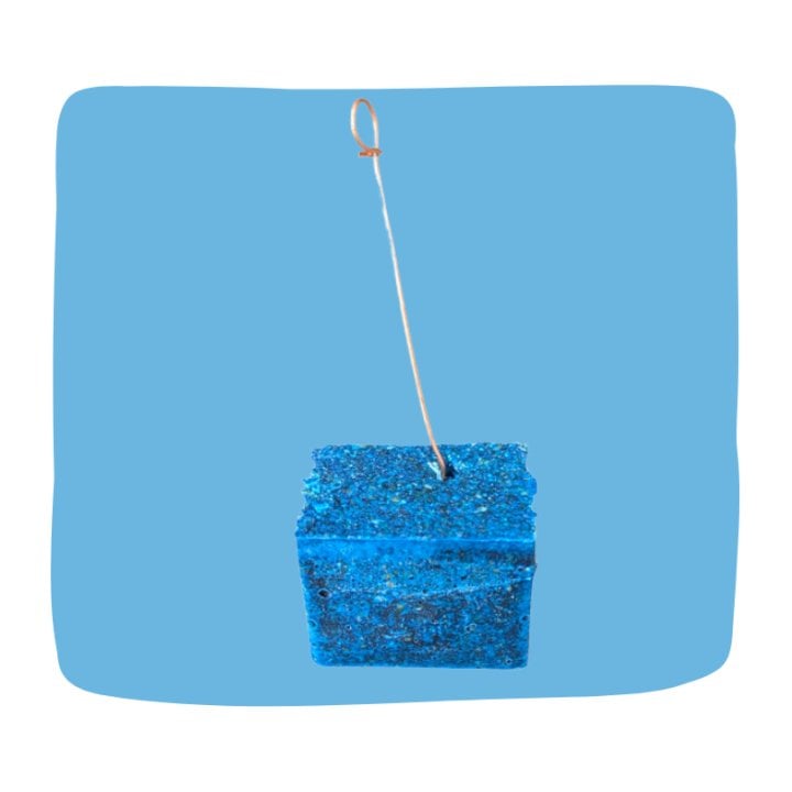 Bloc Egout Brodifacoum 12PPM dératisation pro