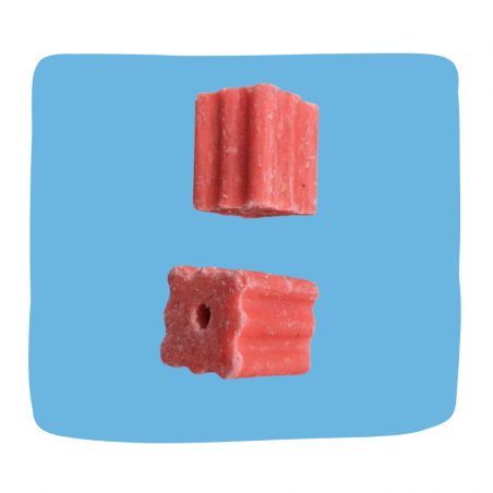 BLOC dératisation brodifacoum fluo 50ppm