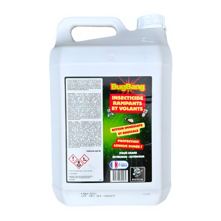 BugBang laque insecticide 5 L – 12/6 mois, prêt à l’emploi