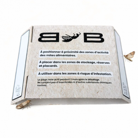 Pièges collants mites alimentaires