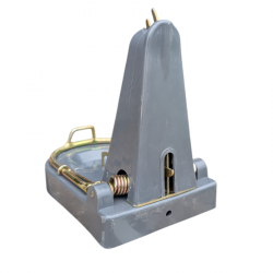 Tapette Black Cat dératisation