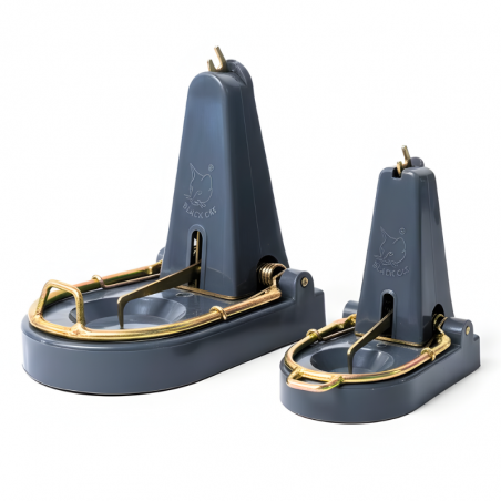 Tapette Black Cat dératisation