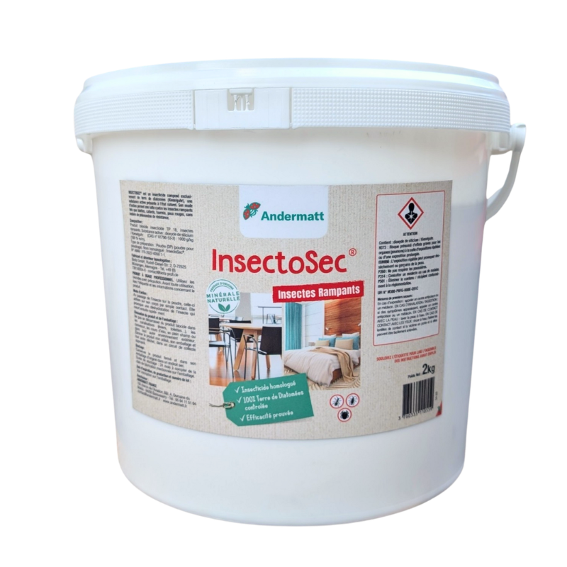 Terre de diatomée désinsectisation insectes rampants