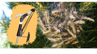 Méthode de lutte - Echenillage BUZZBUSTERS